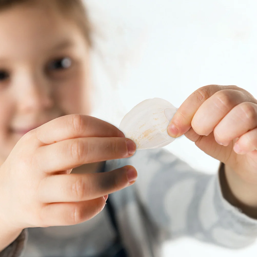 5Pcs Shell Fridge Magnets Sea Themed Decorative Refrigerator Stickers Home Kitchen Magnetic Ornament Fridge Magnet 
5Pcs Shell Fridge Magnets Sea Themed Decorative Refrigerator Stickers Home Kitchen Magnetic Ornament Fridge Magnet