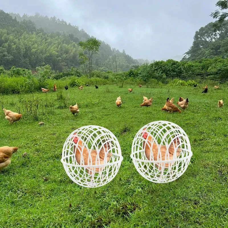 Chicken Rolling Ball Cage Spherical 3 Pieces Chicken Cage Pet Safety Cage Ball-Shaped Chicken Hamster Ball Cage Pigeon Chick
Chicken Rolling Ball Cage Spherical 3 Pieces Chicken Cage Pet Safety Cage Ball-Shaped Chicken Hamster Ball Cage Pigeon Chick