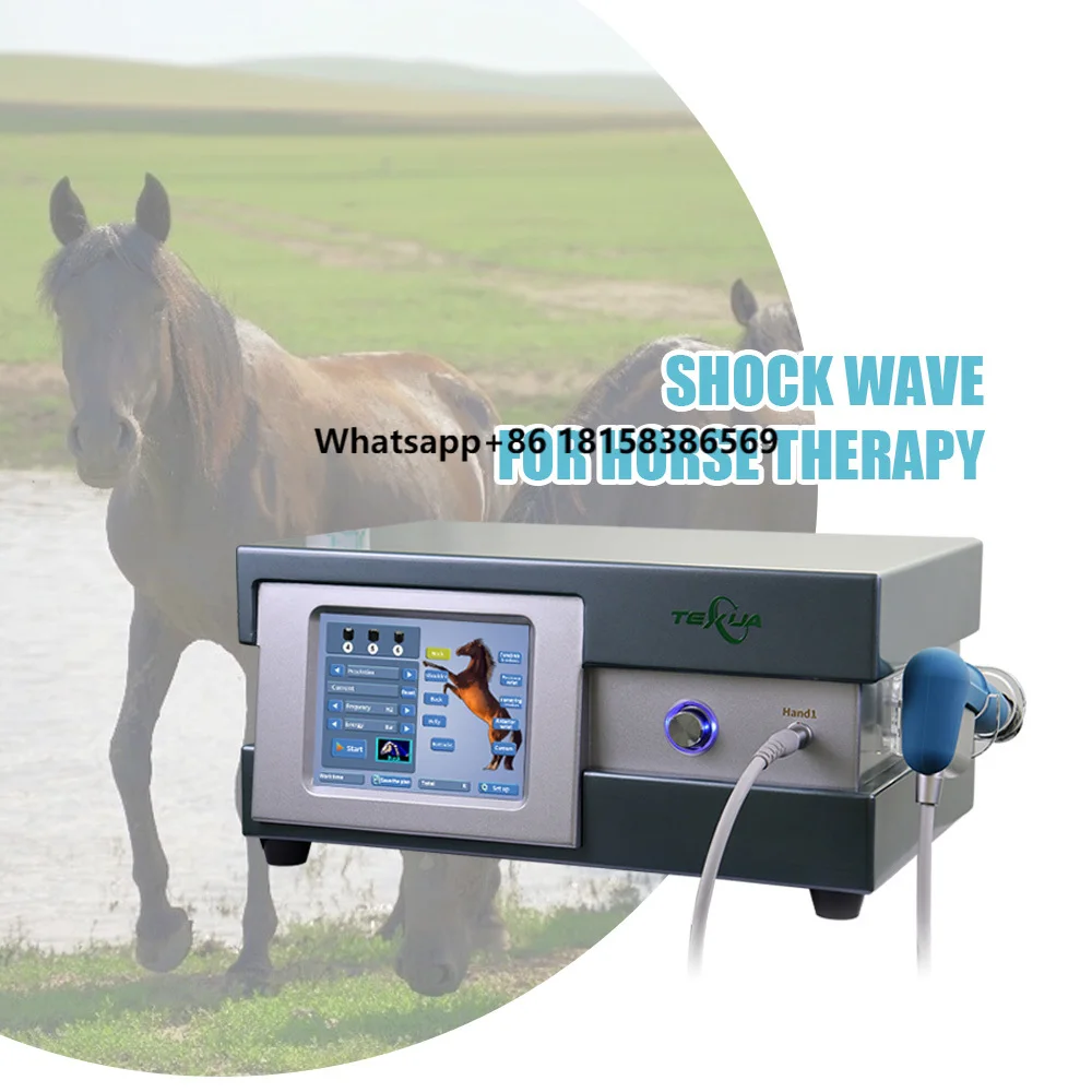 Price Portable Electromagnetic Equine Shockwave Therapy Machine Shock Wave for Horse
Price Portable Electromagnetic Equine Shockwave Therapy Machine Shock Wave for Horse