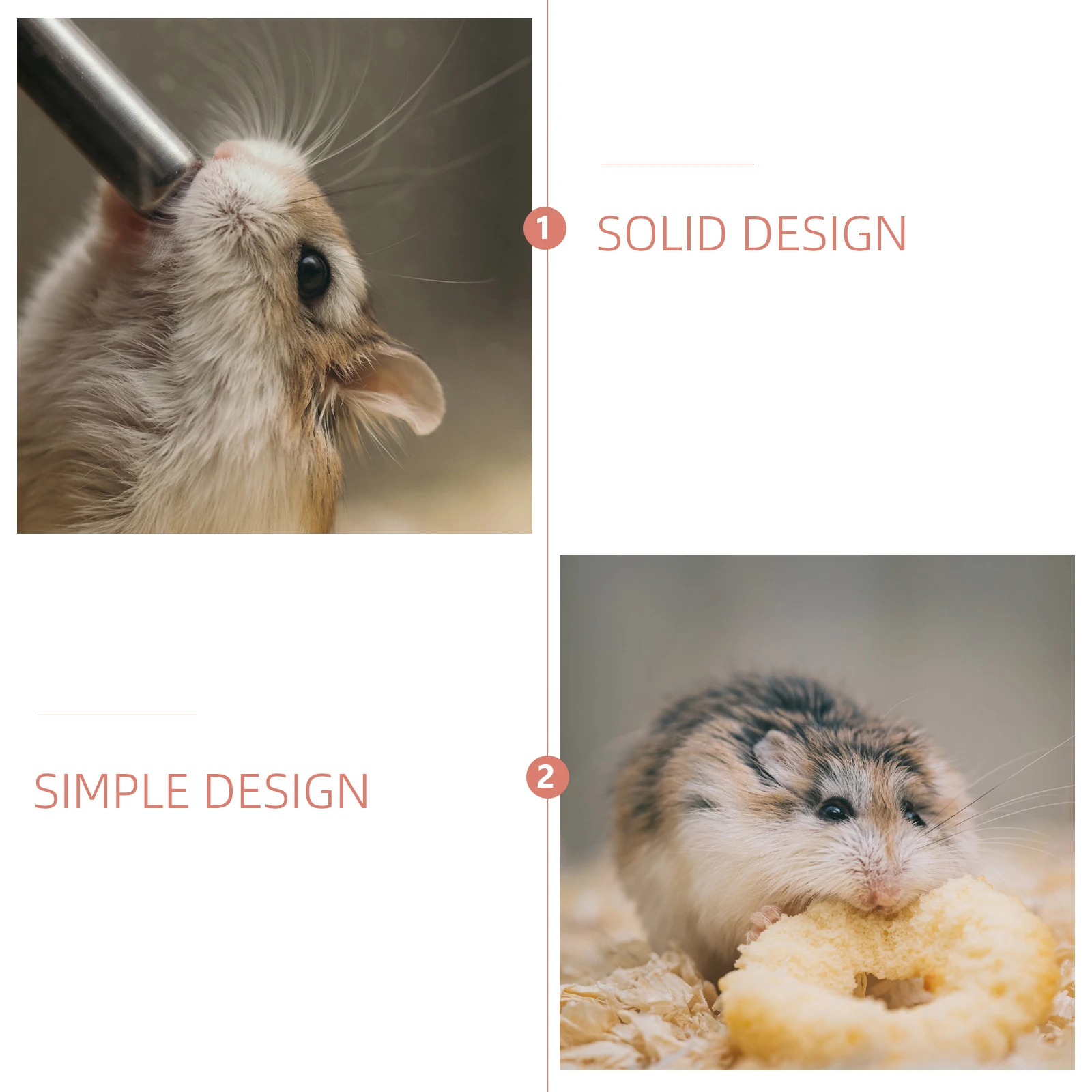 Small Pet Feeder Hamster Dish Ceramics Unique Design Bowl Chinchilla Food Squirrel
Small Pet Feeder Hamster Dish Ceramics Unique Design Bowl Chinchilla Food Squirrel