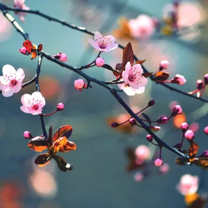 KST MS665 8.4V 7kg 0.05sec Coreless HV Metal Gear Digital Servo Motor for Fixed-Wing Drone UAV RC Car Boat Robot Arm Helicopter
KST MS665 8.4V 7kg 0.05sec Coreless HV Metal Gear Digital Servo Motor for Fixed-Wing Drone UAV RC Car Boat Robot Arm Helicopter