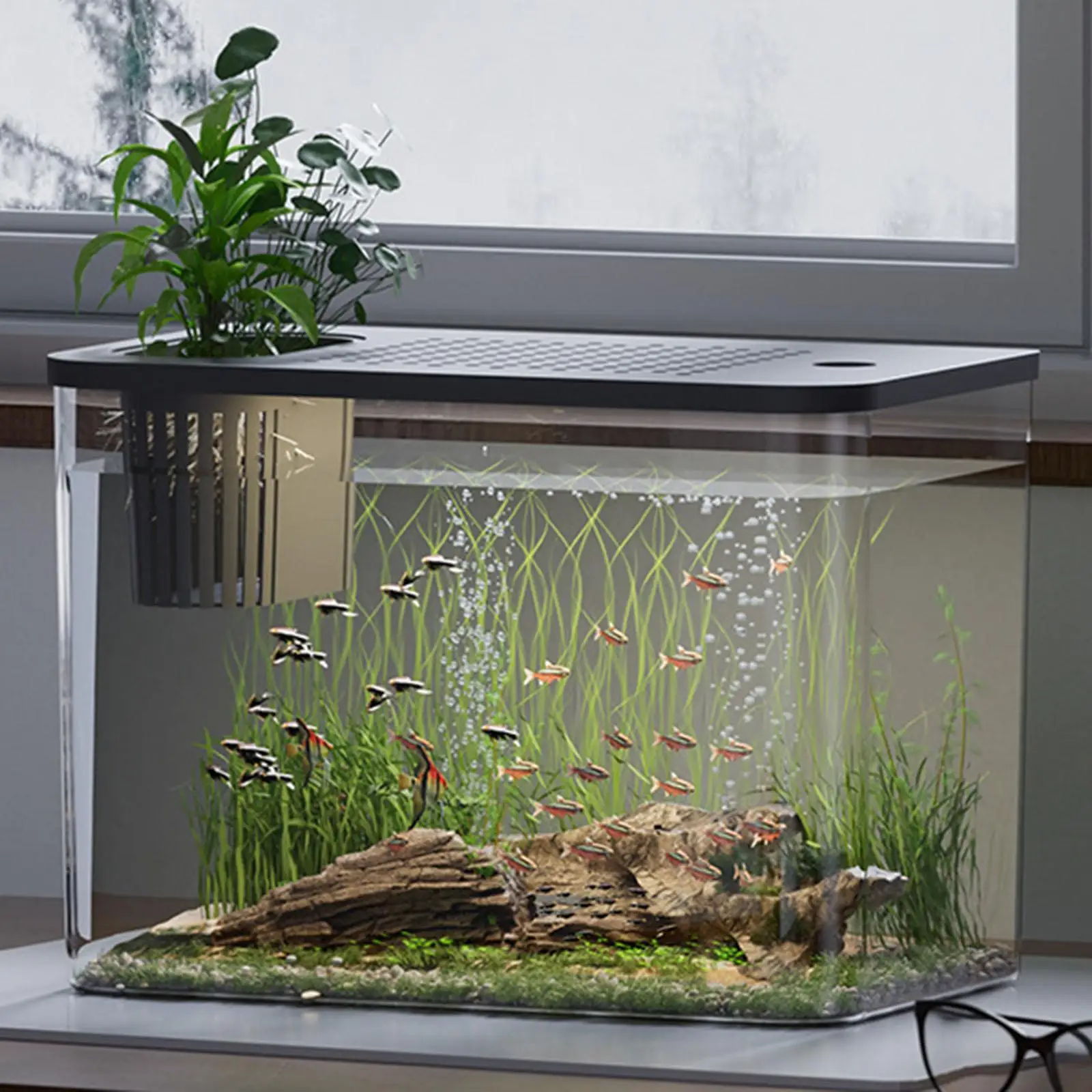 Reptile Tank Terrarium Desktop Breeding Tank Amphibian Feeding Box for Fish
Reptile Tank Terrarium Desktop Breeding Tank Amphibian Feeding Box for Fish