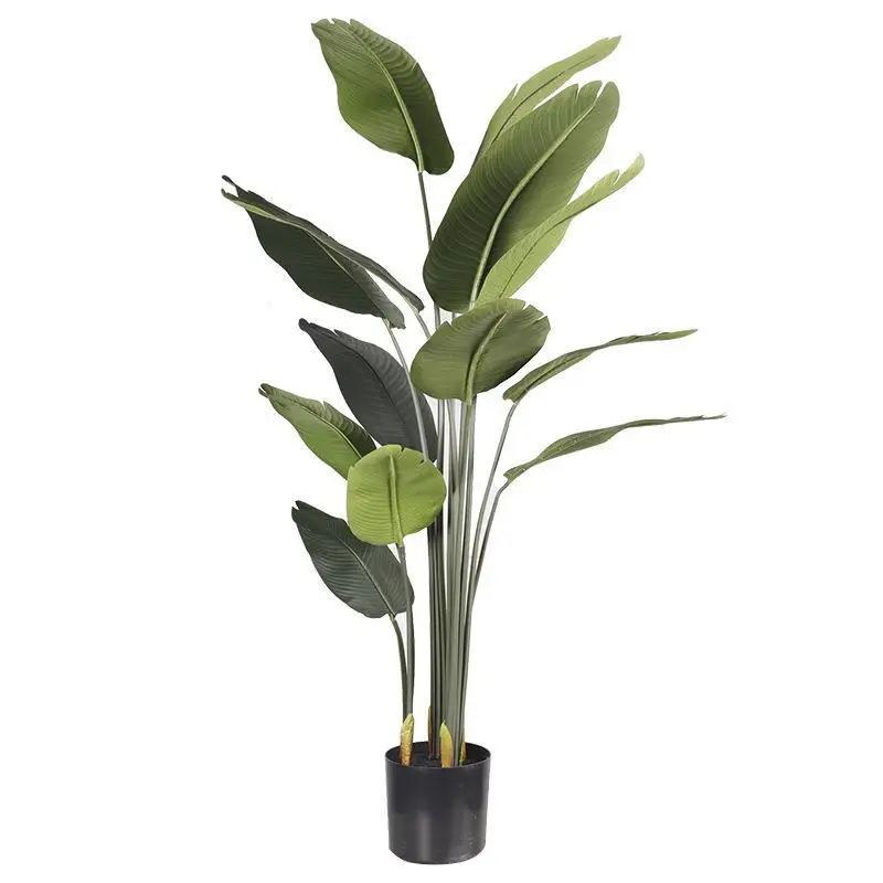 Simulation green plant loose-tailed sunflower simulation traveler's banana Brazilian plant indoor simulation tree paradise
Simulation green plant loose-tailed sunflower simulation traveler's banana Brazilian plant indoor simulation tree paradise