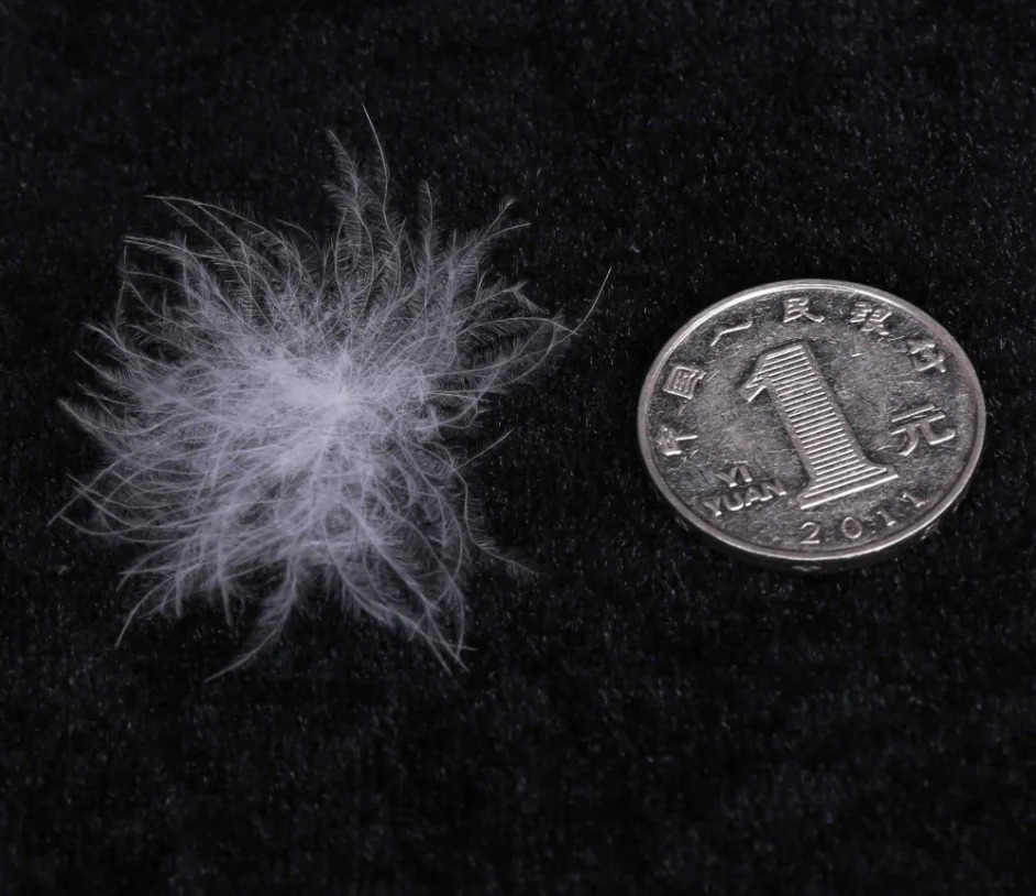 200g/lot DIY down pillow jacket core coat down bulk duck down piumino donna washed down 95% pure large white sticky down
200g/lot DIY down pillow jacket core coat down bulk duck down piumino donna washed down 95% pure large white sticky down