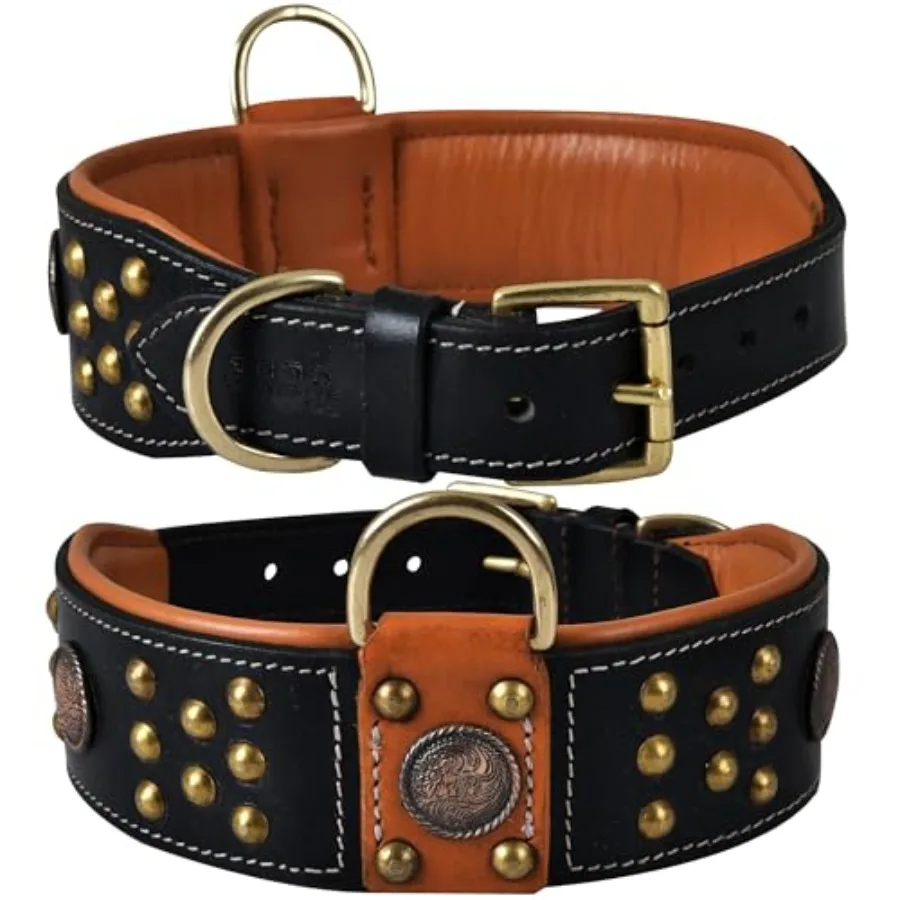 Large Dog Premium Leather Cupola Collar with Celtic Conchos Gold Dome Rivets, 2 Inch Wide, Soft Heavy Duty Cushion Padding, Sab
Large Dog Premium Leather Cupola Collar with Celtic Conchos Gold Dome Rivets, 2 Inch Wide, Soft Heavy Duty Cushion Padding, Sab