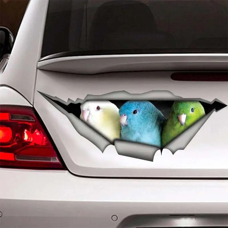 Parakeet Bird Car Sticker Waterproof Vinyl Decal on Bumper Rear Window Laptop Self-adhesive Decal For Car Accessories SH283
Parakeet Bird Car Sticker Waterproof Vinyl Decal on Bumper Rear Window Laptop Self-adhesive Decal For Car Accessories SH283
