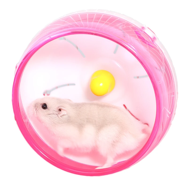 Hamster Running Wheel Silent Hamster Wheel Jogging Toys Guinea Pig Hedgehog Small Animal Exercise Wheels Hamster Accessories
Hamster Running Wheel Silent Hamster Wheel Jogging Toys Guinea Pig Hedgehog Small Animal Exercise Wheels Hamster Accessories