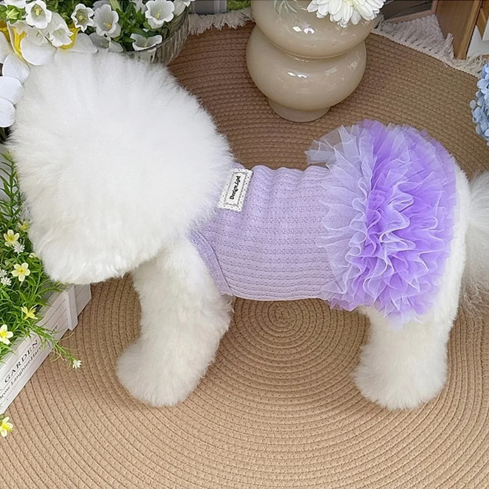 Cute Lace Dog Summer Dress Breathable Lightweight Dog Princess Dress Mesh Comfortable Pet Costumes Puppy Apparel
Cute Lace Dog Summer Dress Breathable Lightweight Dog Princess Dress Mesh Comfortable Pet Costumes Puppy Apparel