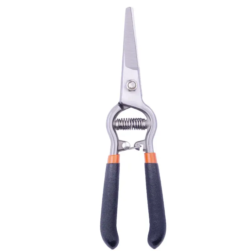 Home gardening, grape and fruit tree pruning scissors, floral garden scissors, flower pruning scissors
Home gardening, grape and fruit tree pruning scissors, floral garden scissors, flower pruning scissors