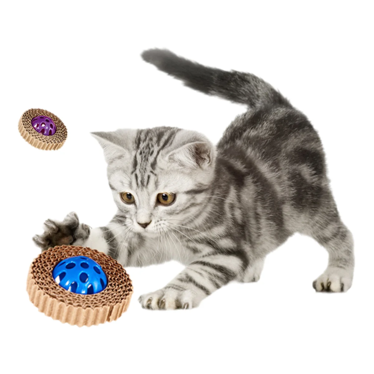 Three colours pink/green/purple Fun Corrugated paper cat toy Plastic ball scratch-resistant cat toy ball with bell Throw cat toy
Three colours pink/green/purple Fun Corrugated paper cat toy Plastic ball scratch-resistant cat toy ball with bell Throw cat toy