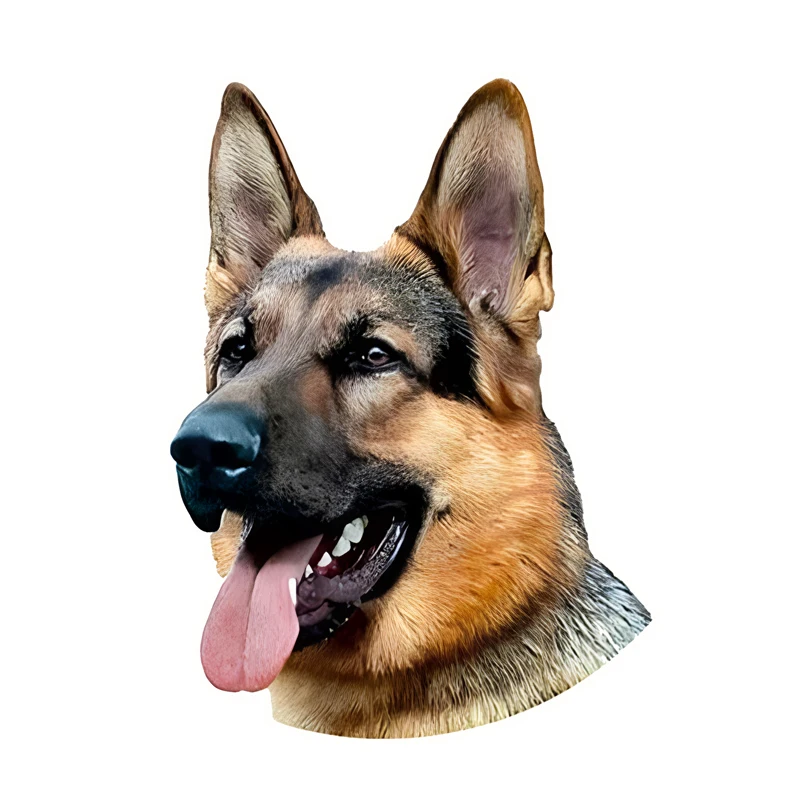 GS40#6*8 inches German Shepherd Portrait Stickers Car Decals, Weather-Resistant Vinyl Stickers for Windows, Bumper, Laptop
GS40#6*8 inches German Shepherd Portrait Stickers Car Decals, Weather-Resistant Vinyl Stickers for Windows, Bumper, Laptop