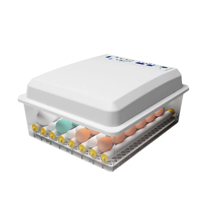 High Automatic Mini Incubator Farm Use Goose Ostrich Quail Eggs Multifunctional Motor Household
High Automatic Mini Incubator Farm Use Goose Ostrich Quail Eggs Multifunctional Motor Household