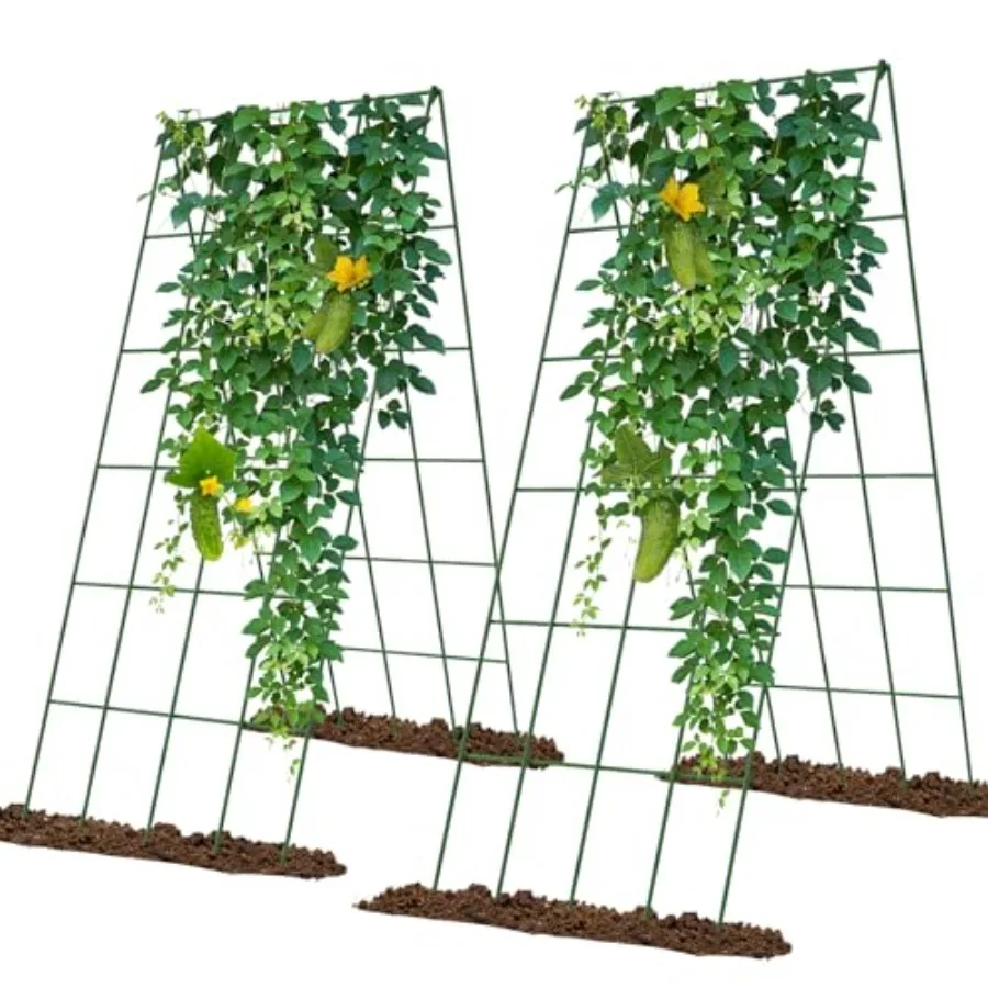 Cucumber Trellis 2 Pack Foldable A-Frame Garden Trellis for Raised Bed Garden Grow Support with Plant Support Clips Twist Ties
Cucumber Trellis 2 Pack Foldable A-Frame Garden Trellis for Raised Bed Garden Grow Support with Plant Support Clips Twist Ties