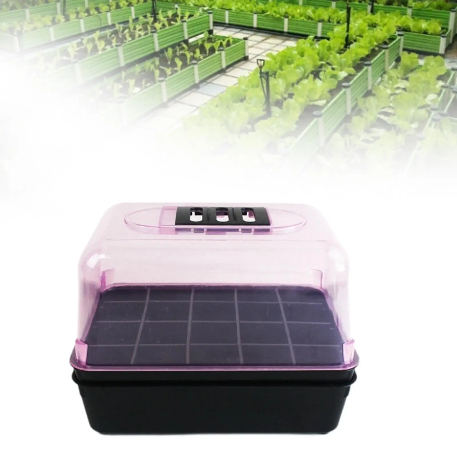 Germination Seed Starter Tray 8.6x6.3x6.3inch Humidity Adjustable for Windowsills Plant Growing Tray Transparent Lid
Germination Seed Starter Tray 8.6x6.3x6.3inch Humidity Adjustable for Windowsills Plant Growing Tray Transparent Lid