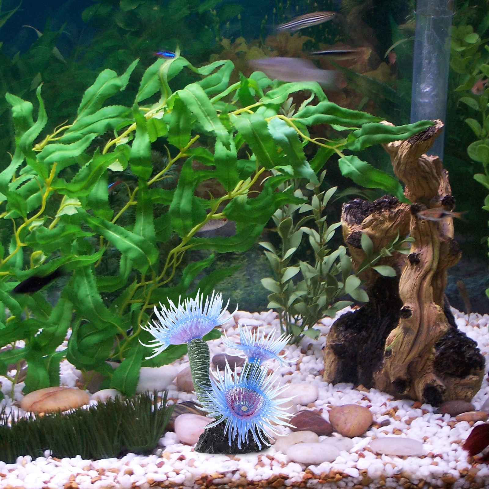 Artificial Coral Decoration Realistic Resin Fish Tank Landscape Aquarium Ornament Safe Fresh Salt Water Stable Bottom Pet
Artificial Coral Decoration Realistic Resin Fish Tank Landscape Aquarium Ornament Safe Fresh Salt Water Stable Bottom Pet