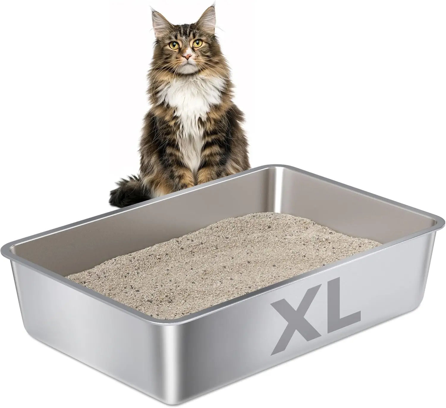 Лоток для кошачьего туалета из нержавеющей стали XLarge, металлический лоток для кошек XL, легко чистящийся лоток для кошек, лоток из нержавеющей стали для крупных кошек
Лоток для кошачьего туалета из нержавеющей стали XLarge, металлический лоток для кошек XL, легко чистящийся лоток для кошек, лоток из нержавеющей стали для крупных кошек