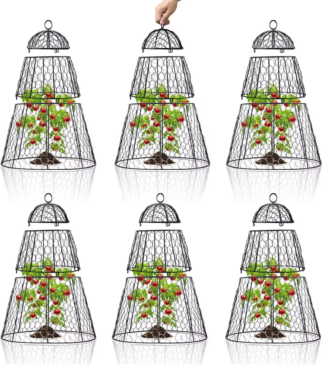 Adjustable Garden Plant Protectors (6-Pack) - 14"D x 20"H Chicken Wire Cloche for Birds & Animals
Adjustable Garden Plant Protectors (6-Pack) - 14"D x 20"H Chicken Wire Cloche for Birds & Animals