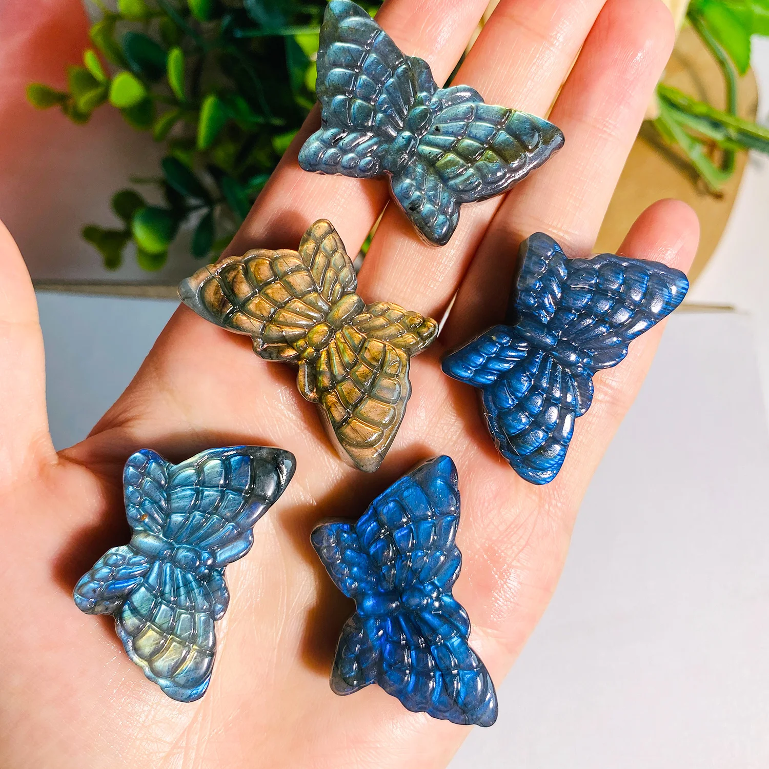 1pc Reiki Healing Labradorite Flash Butterfly Crystal Carving - Natural Mineral Samples For Home Decoration & Crystal Energy
1pc Reiki Healing Labradorite Flash Butterfly Crystal Carving - Natural Mineral Samples For Home Decoration & Crystal Energy