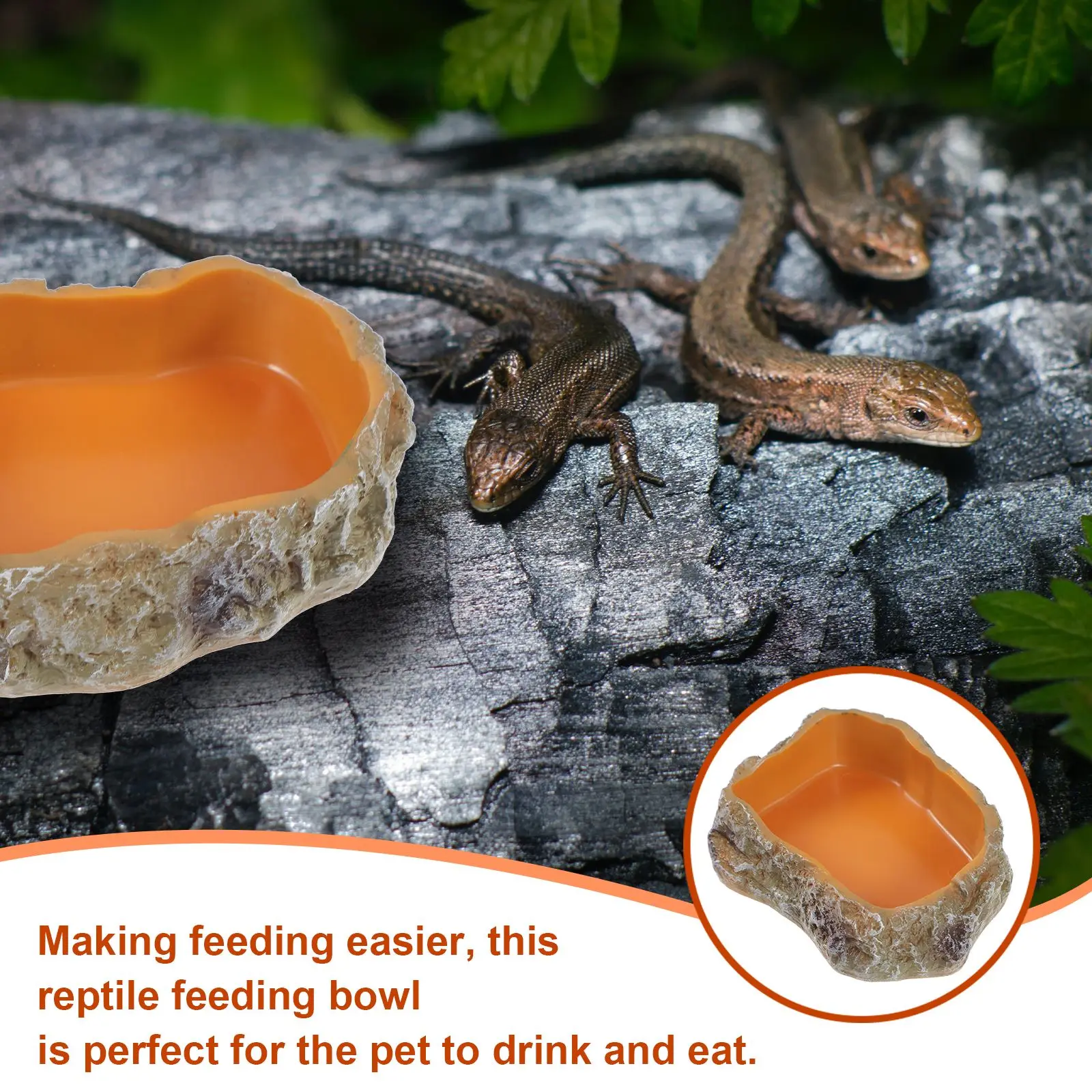 Decorative Reptile Bowl Food Feeding Bowl Decorative Reptile Bowl Feeding Box Resin Decorative Reptile Bowl Food Water Feeder
Decorative Reptile Bowl Food Feeding Bowl Decorative Reptile Bowl Feeding Box Resin Decorative Reptile Bowl Food Water Feeder