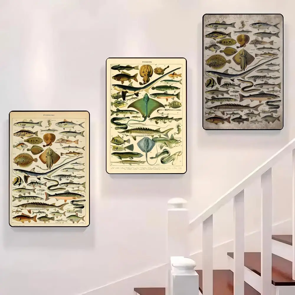 Vintage Adolphe Millot Poster Sticky Wall Waterproof Home Living Room Bedroom Bar Aesthetic Decoration Perfect Gift
Vintage Adolphe Millot Poster Sticky Wall Waterproof Home Living Room Bedroom Bar Aesthetic Decoration Perfect Gift