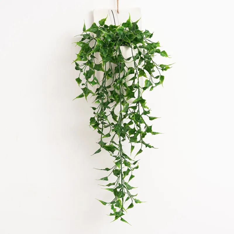Simulated Plant Everspring Leaf Vine Wall Hanging Artificial Plant for Home Bedroom Office Wedding Wall Decor Greenery Vine
Simulated Plant Everspring Leaf Vine Wall Hanging Artificial Plant for Home Bedroom Office Wedding Wall Decor Greenery Vine