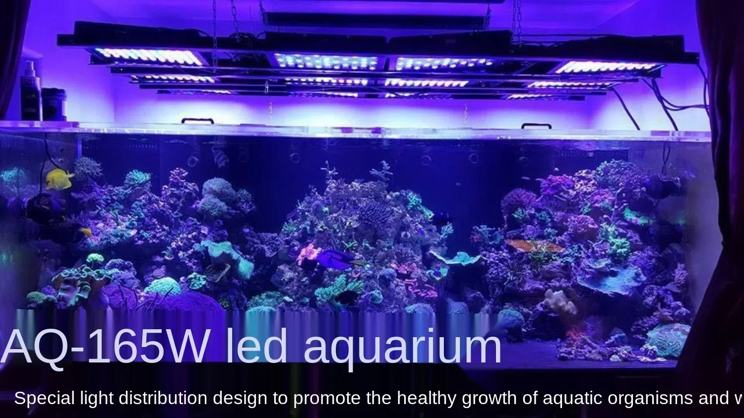 Aquarium Light 165W LED Intelligent Dimming Timing Seawater Fish Tank Light Aquarium LPs Hard Bone SPS Coral Breeding Lamp
Aquarium Light 165W LED Intelligent Dimming Timing Seawater Fish Tank Light Aquarium LPs Hard Bone SPS Coral Breeding Lamp
