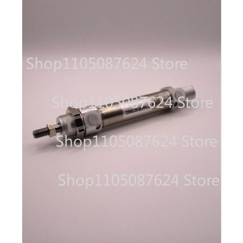 GG DSNU-20-50-PPV-A Round Standard Cylinder
GG DSNU-20-50-PPV-A Round Standard Cylinder