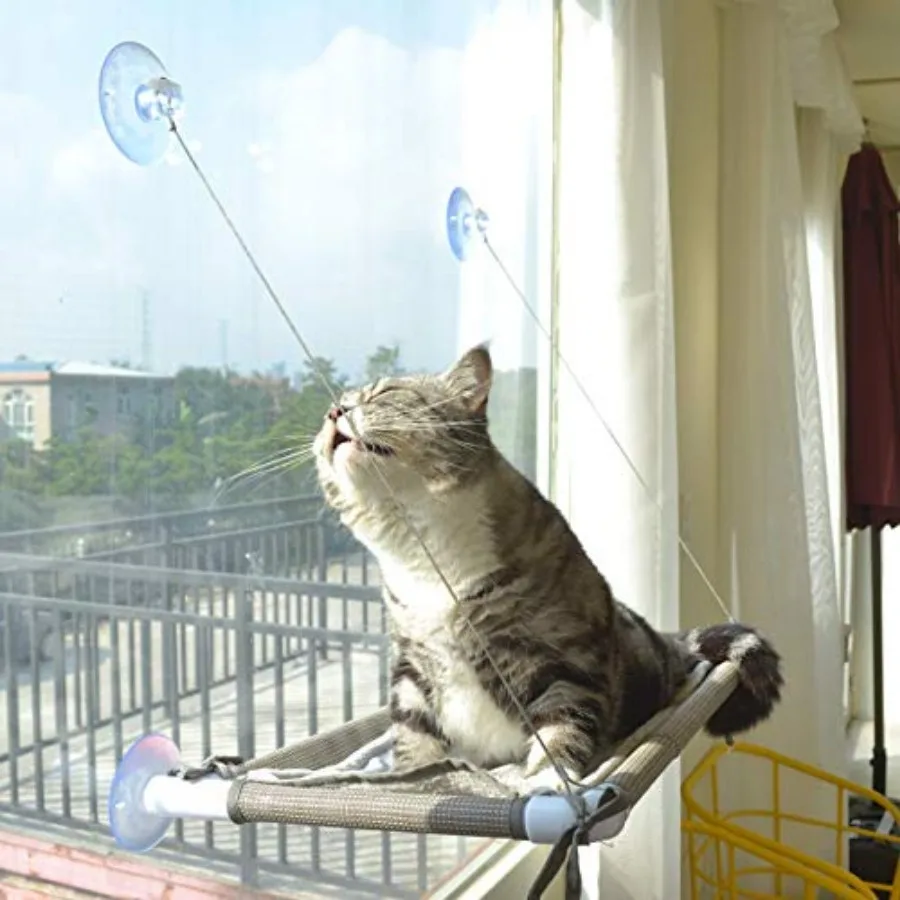 Cat Window Hammock Mess-Free Waterproof Cats Window Perch for Large Cats, Strong Suction Cup Hammock with Flannel Cover, Indoor
Cat Window Hammock Mess-Free Waterproof Cats Window Perch for Large Cats, Strong Suction Cup Hammock with Flannel Cover, Indoor