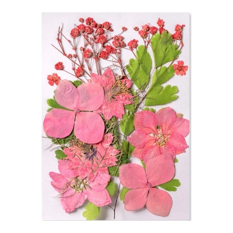 Натуральные сухие цветы и листья для мыла, свечей, изготовления ювелирных изделий ручной работы, художественное ремесло 15UB
Натуральные сухие цветы и листья для мыла, свечей, изготовления ювелирных изделий ручной работы, художественное ремесло 15UB