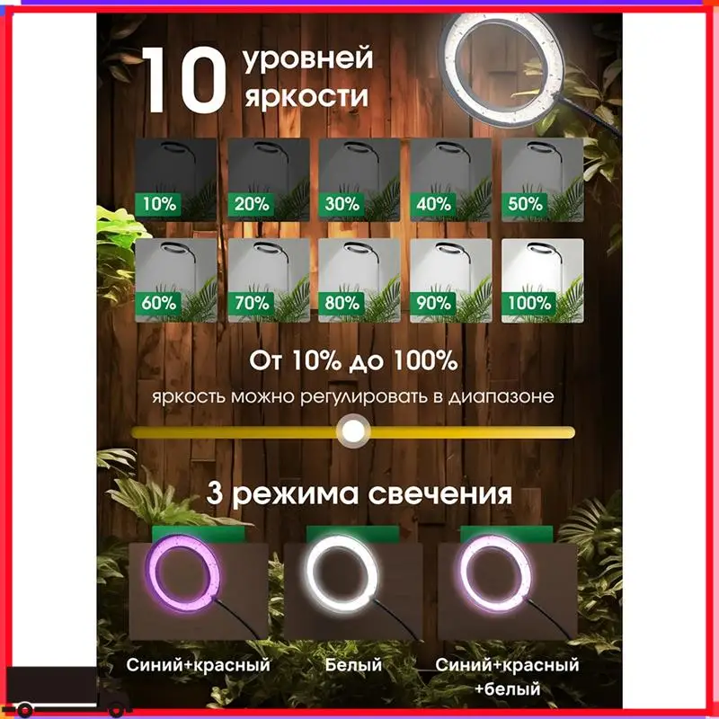 Premium Plant Light, Plant Growth Light, Adjustable Height And Angle, Suitable For Indoor Plants
Premium Plant Light, Plant Growth Light, Adjustable Height And Angle, Suitable For Indoor Plants