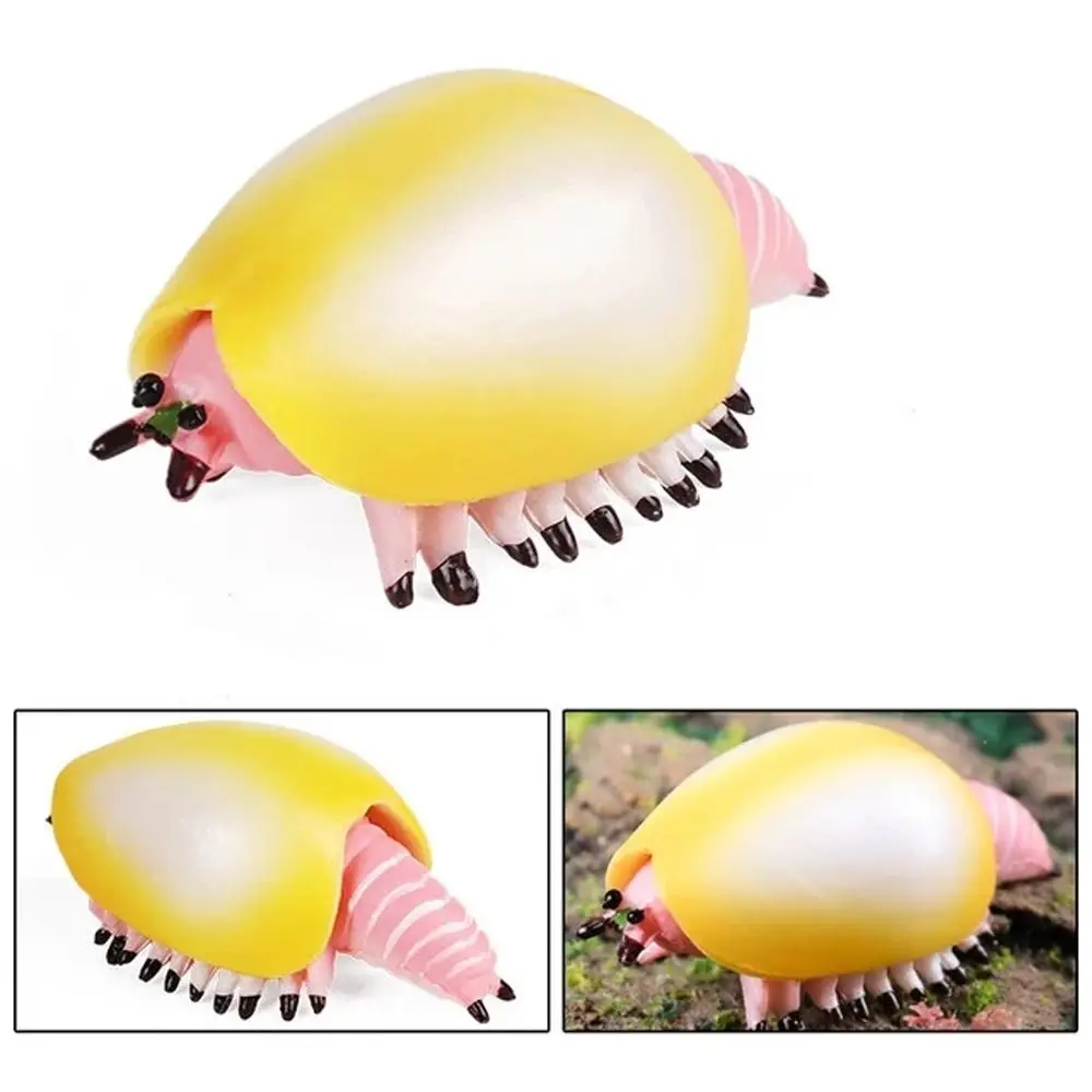 Prehistoric Ocean Animal Figure Simulation Nautilus Marine Life Figurines Educational Anomalocaris Trilobite Figure
Prehistoric Ocean Animal Figure Simulation Nautilus Marine Life Figurines Educational Anomalocaris Trilobite Figure