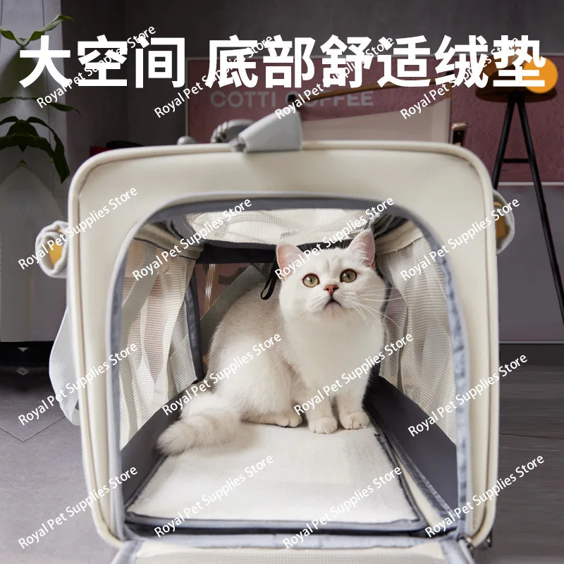 Сумка для кошек, портативная дышащая сумка, автомобильная школьная сумка для кошек, уличная дорожная сумка для домашних животных, рюкзак
Сумка для кошек, портативная дышащая сумка, автомобильная школьная сумка для кошек, уличная дорожная сумка для домашних животных, рюкзак