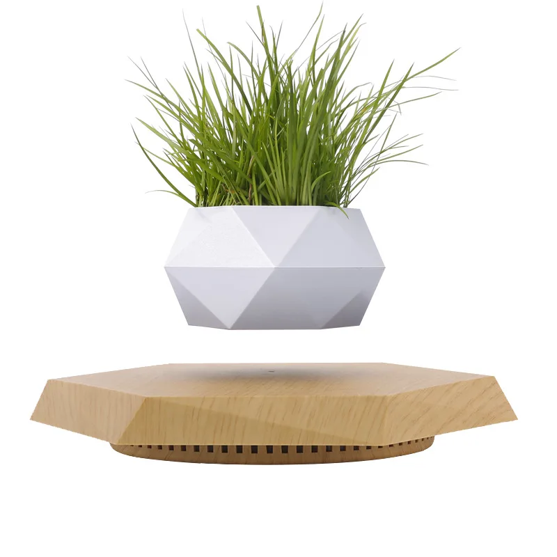 Magnetic Levitating Planter Floating Plant Pot ABS Material Geometric Shape for Desk Home Garden Dcor Modern Design 5 Colors
Magnetic Levitating Planter Floating Plant Pot ABS Material Geometric Shape for Desk Home Garden Dcor Modern Design 5 Colors