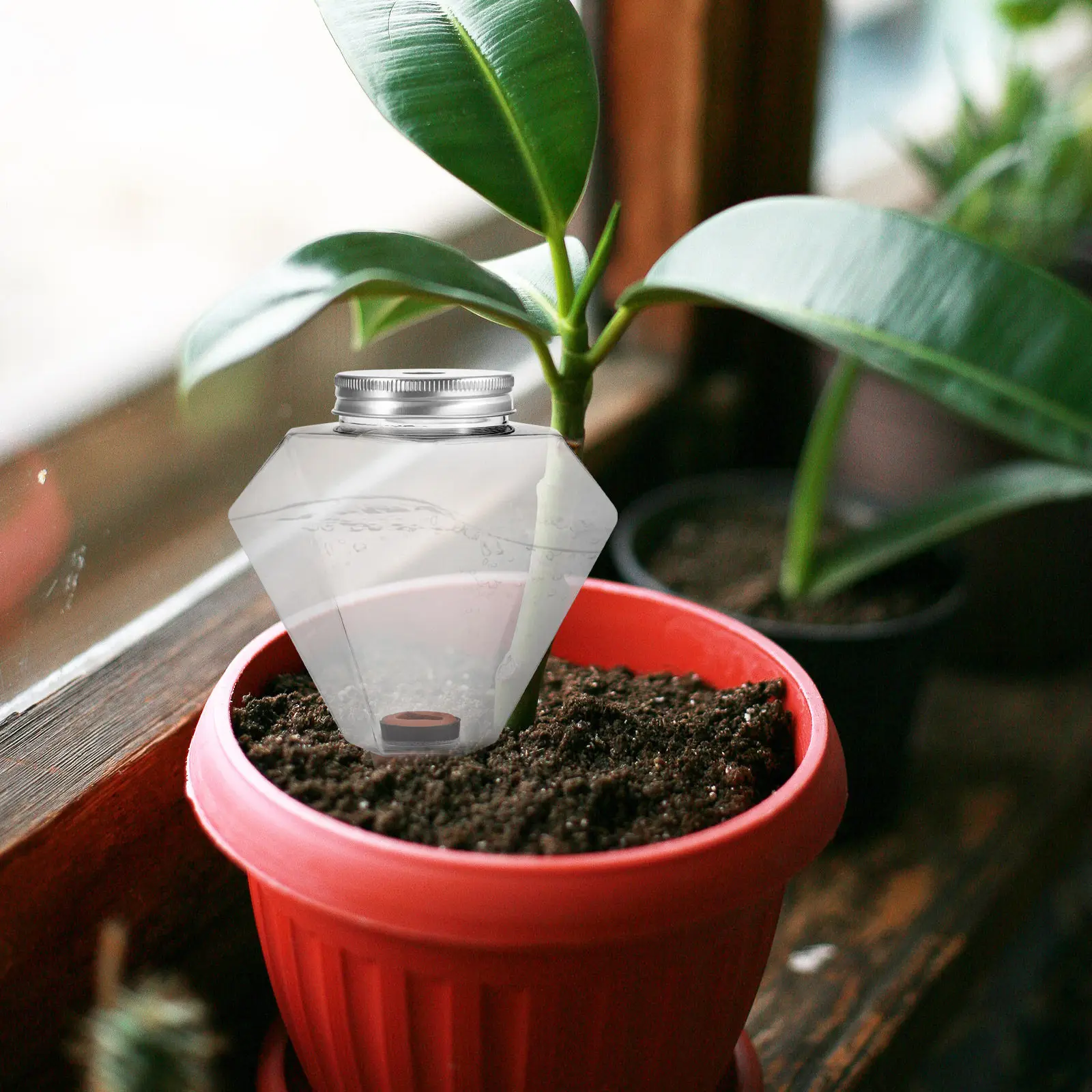 2Pcs Automatic Watering Device Creative Shaped Water Tools for Indoor Plants Succulent Self Watering Planter Insert Gardening
2Pcs Automatic Watering Device Creative Shaped Water Tools for Indoor Plants Succulent Self Watering Planter Insert Gardening