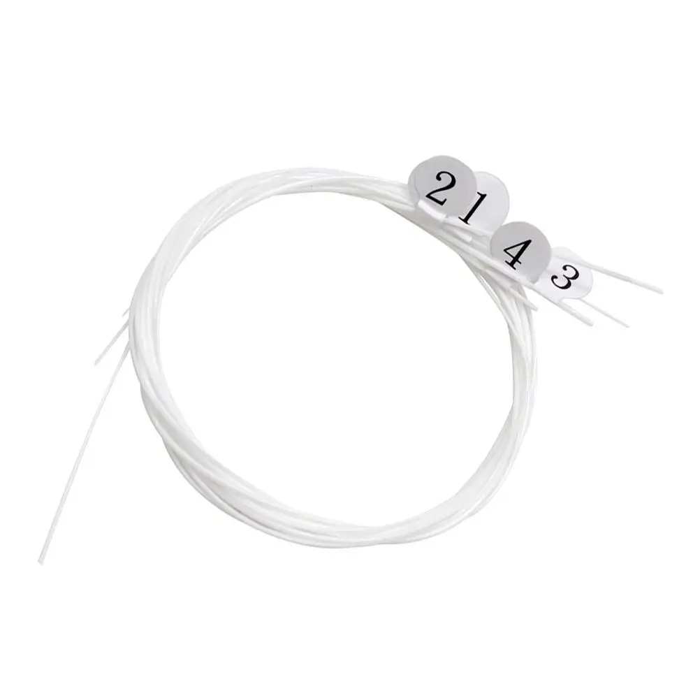 4 Pcs Strings 21 23 26 Inch Nylon Durable Replacement Parts Accessories Sturdy Ukulele String Music Instrument
4 Pcs Strings 21 23 26 Inch Nylon Durable Replacement Parts Accessories Sturdy Ukulele String Music Instrument