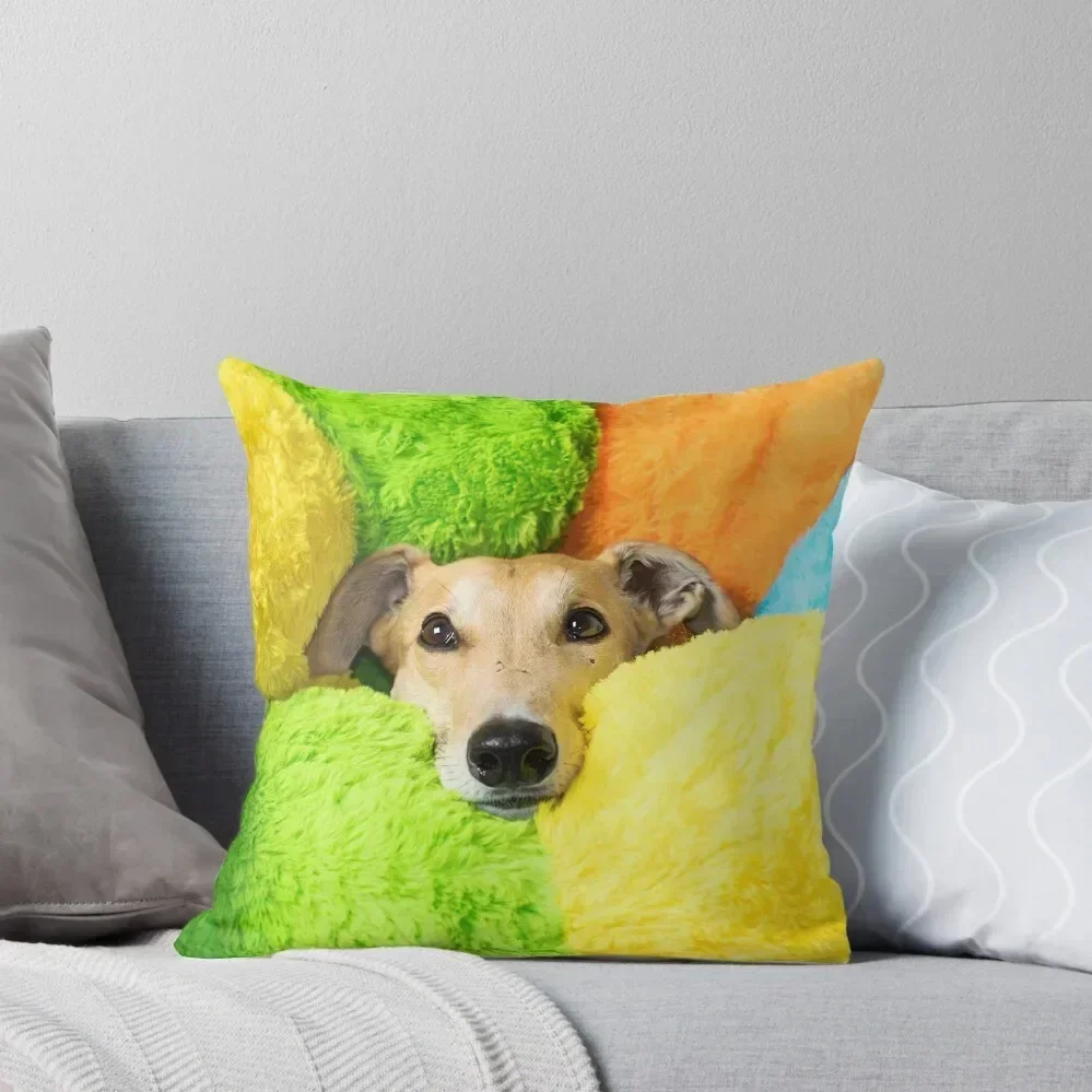 Greyhound with cuddlepillar toy Throw Pillow autumn decoration Sofa Pillow Cover christmas supplies pillow
Greyhound with cuddlepillar toy Throw Pillow autumn decoration Sofa Pillow Cover christmas supplies pillow