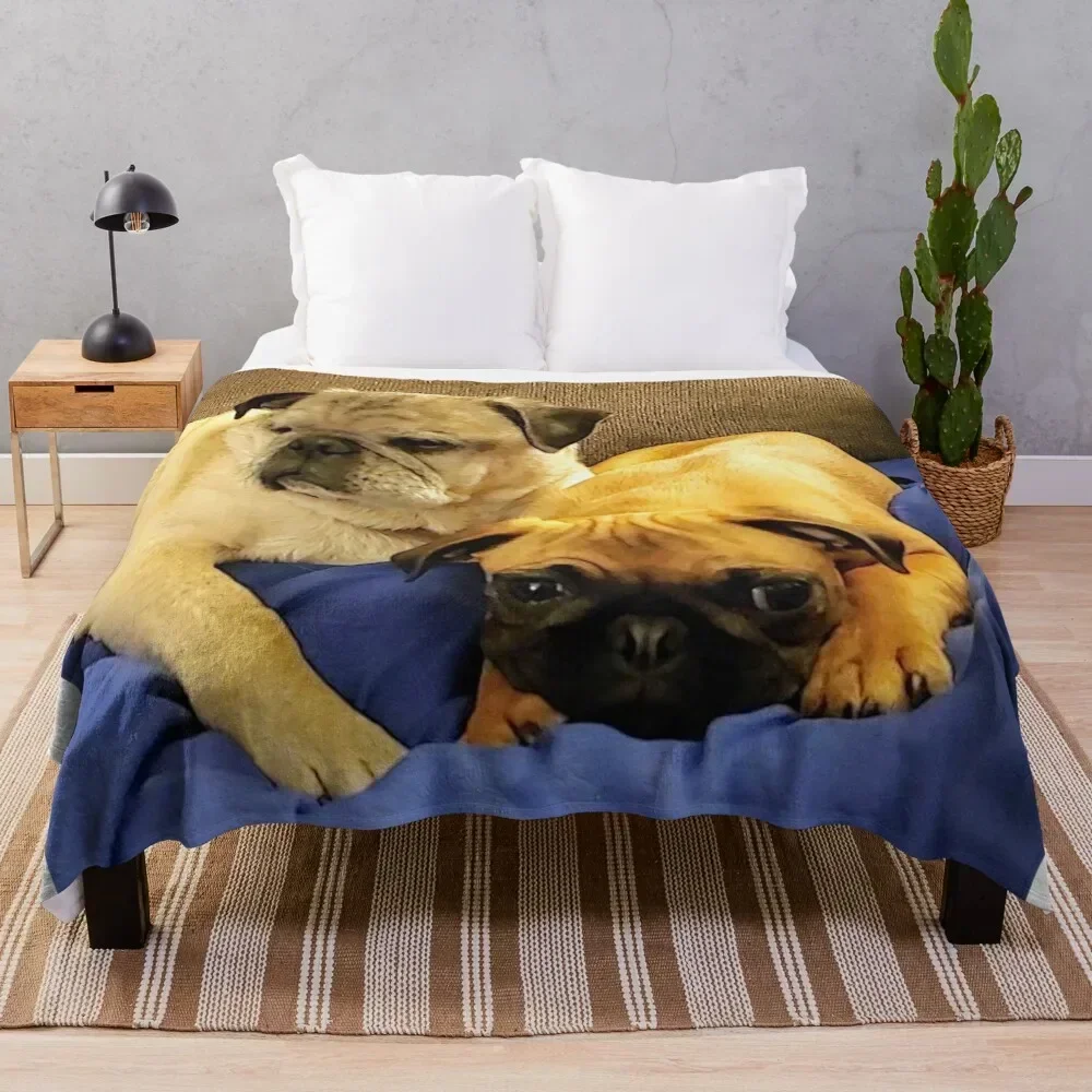Pair of Pugs Throw Blanket Warm Plush Fuzzy Blanket for Living Room
Pair of Pugs Throw Blanket Warm Plush Fuzzy Blanket for Living Room