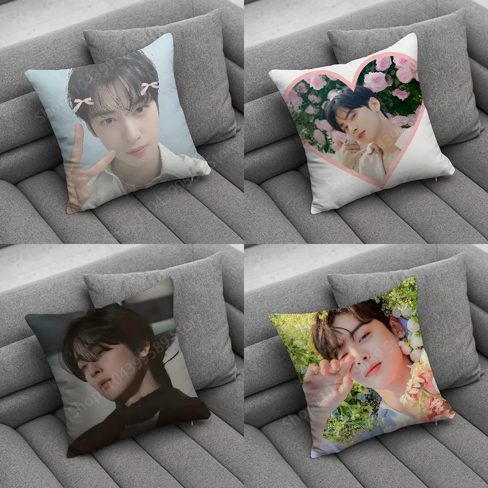 Singer C-Cha E-EunWoo Pillow Case Soft Cushion Cases for Farmhouse Sofa Decor Home Decorations and Protector
Singer C-Cha E-EunWoo Pillow Case Soft Cushion Cases for Farmhouse Sofa Decor Home Decorations and Protector