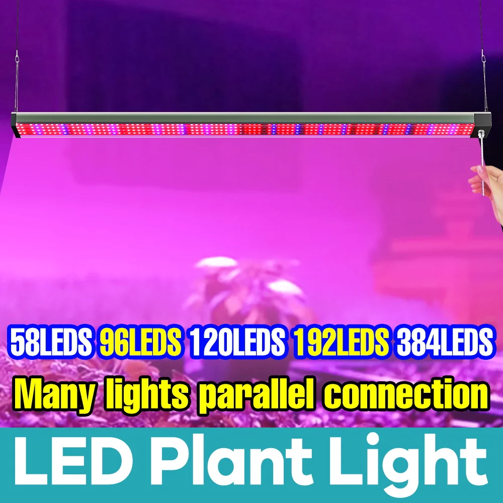 Full Spectrum 100W LED Grow Light Hydroponic Growth Box Greenhouse Tent Vegs Plant Fill Cultivation Lamp Quantum Board 110V/220V
Full Spectrum 100W LED Grow Light Hydroponic Growth Box Greenhouse Tent Vegs Plant Fill Cultivation Lamp Quantum Board 110V/220V