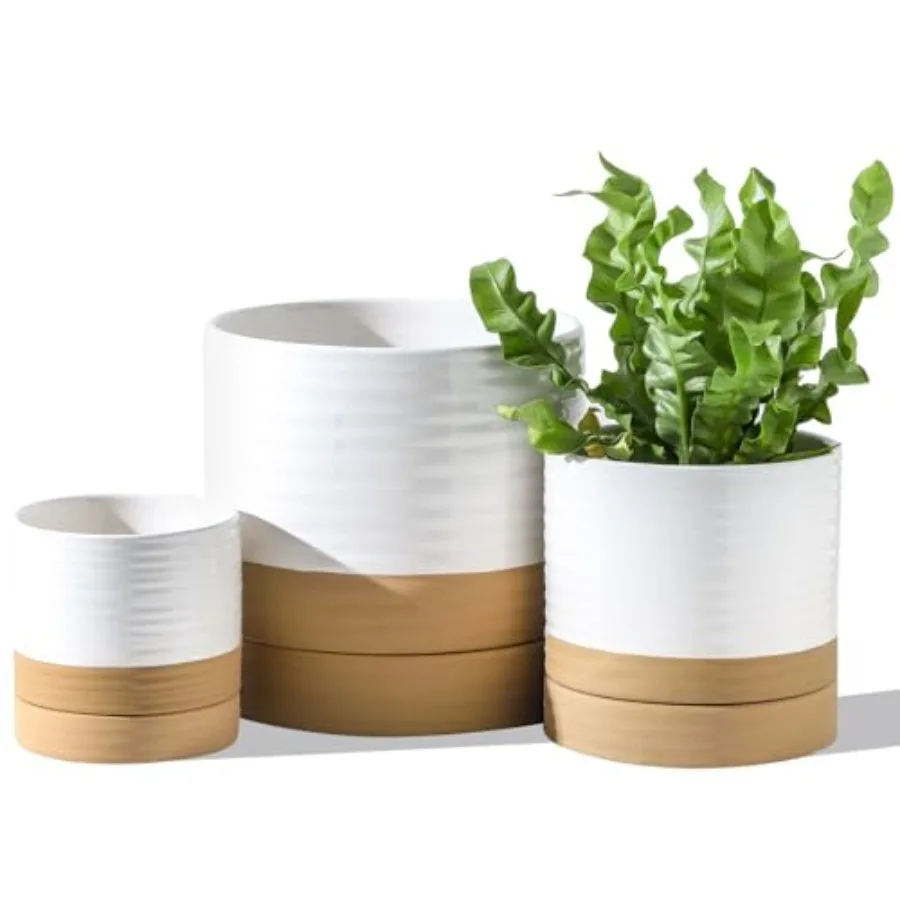 Ceramic Plant Pots with Saucers Set of 3, 8+6+4.6 Inch Planters for Indoor Plants with Drainage Holes, Two-Tone Design Flower P
Ceramic Plant Pots with Saucers Set of 3, 8+6+4.6 Inch Planters for Indoor Plants with Drainage Holes, Two-Tone Design Flower P