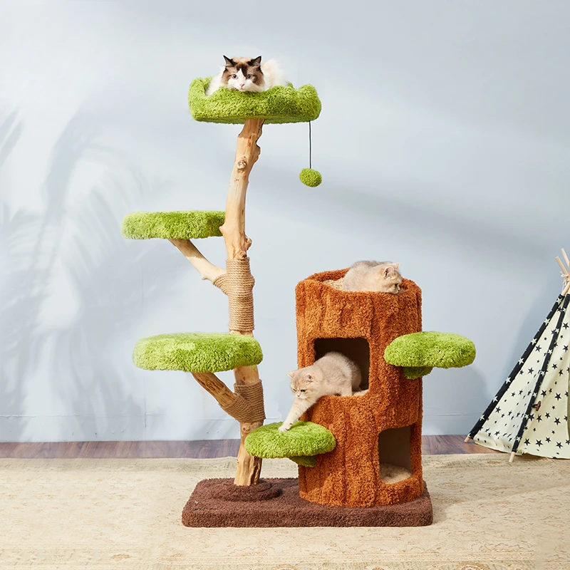 Solid wood cat climbing frame, cat litter, cat tree integration, universal in all seasons, does not occupy a warm litter
Solid wood cat climbing frame, cat litter, cat tree integration, universal in all seasons, does not occupy a warm litter