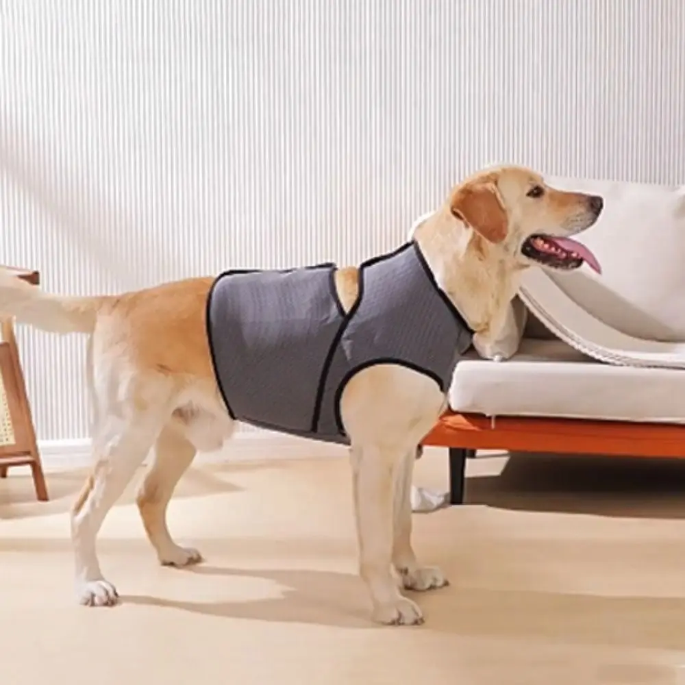 Breathable Dog Anxiety Vest Adjustable Soft Pet Calming Shirt Comfortable Secure Dog Chest Back Clothing
Breathable Dog Anxiety Vest Adjustable Soft Pet Calming Shirt Comfortable Secure Dog Chest Back Clothing