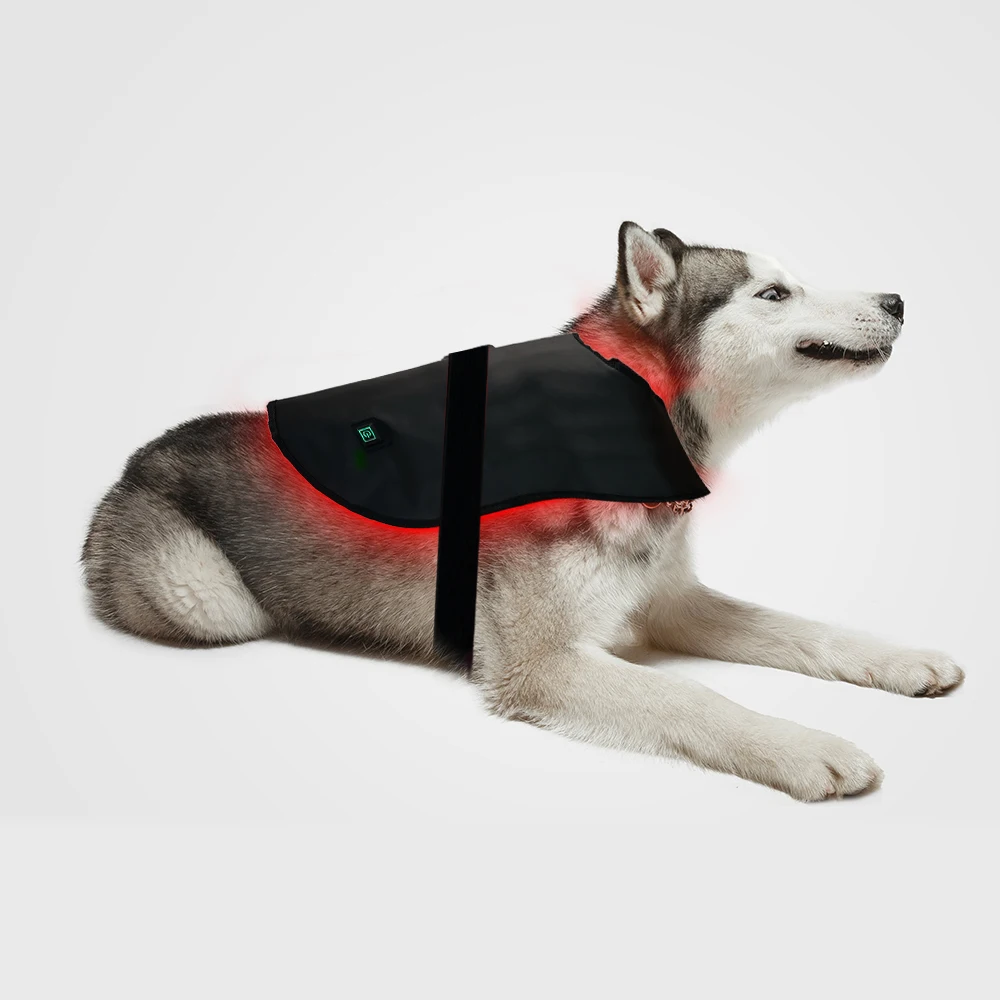 Dog Back Pain Relief Mat Hot Therapy Dogs Portable Therapy Wrap Red/Infrared Dual Therapy
Dog Back Pain Relief Mat Hot Therapy Dogs Portable Therapy Wrap Red/Infrared Dual Therapy