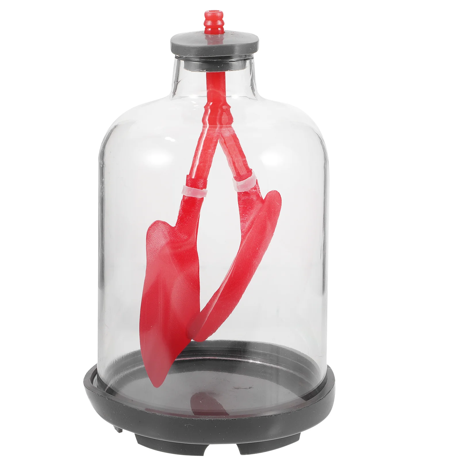 Lung Breathing Model Assemble Demonstration Models Sports Display Respiratory System Function Plastic Rubber Teaching Aid Work
Lung Breathing Model Assemble Demonstration Models Sports Display Respiratory System Function Plastic Rubber Teaching Aid Work