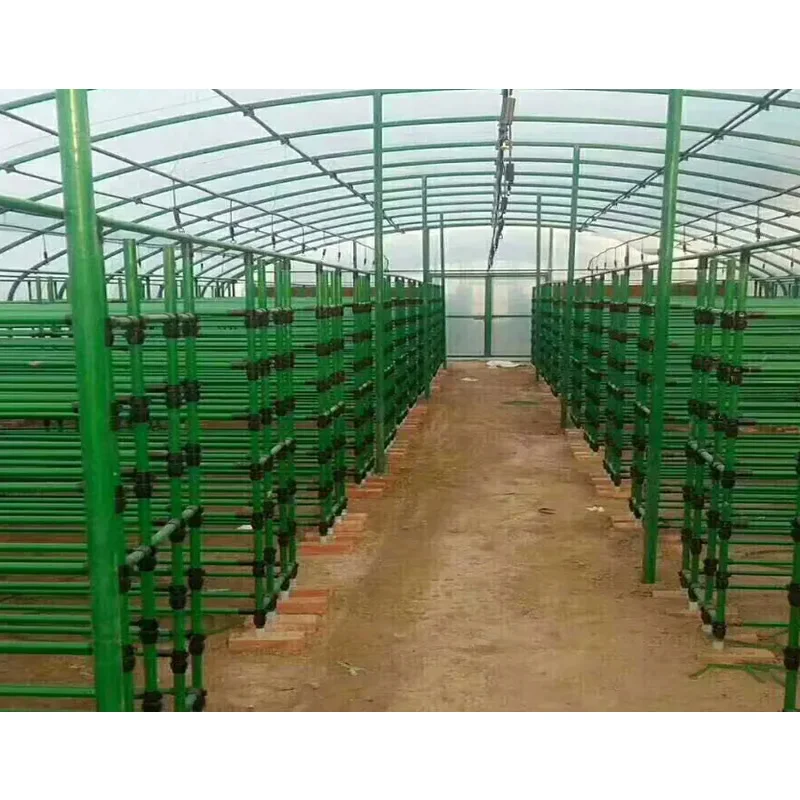 Free Standing Metal Adjustable Shiitake Mushroom Growing Shelves Oyster Mushroom Cultivation Racks
Free Standing Metal Adjustable Shiitake Mushroom Growing Shelves Oyster Mushroom Cultivation Racks