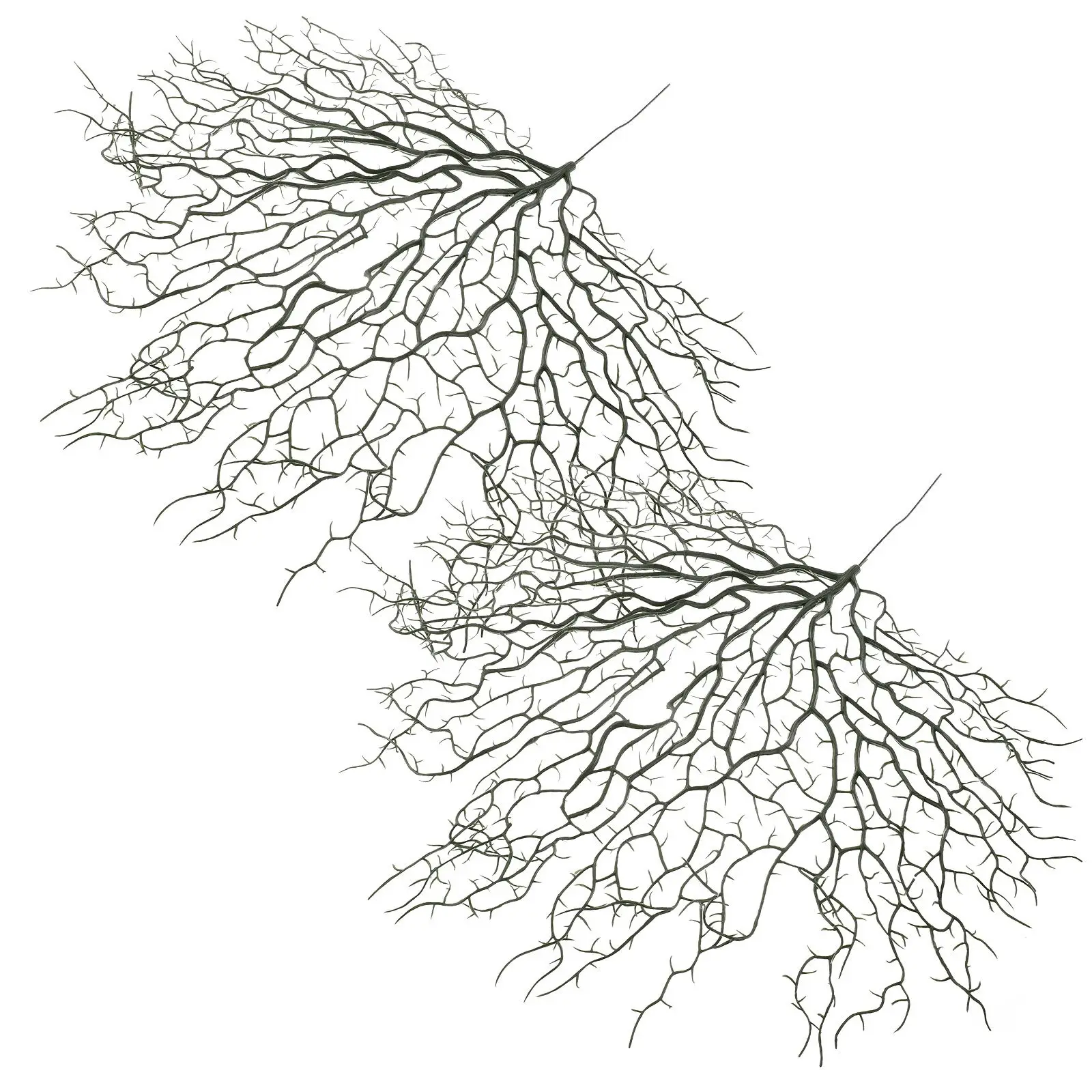 2 Pcs Artificial Coral Branch Simulation Green Decor Fish Tank Landscaping Aquarium Home Wedding Stylish Dark Green
2 Pcs Artificial Coral Branch Simulation Green Decor Fish Tank Landscaping Aquarium Home Wedding Stylish Dark Green