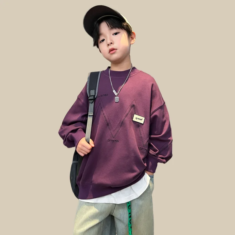 Autumn Toddler Boy's Long Sleeve New Korean Simple Loose Children Casual Cotton Kid Clothes Sweater Autumn outfit
Autumn Toddler Boy's Long Sleeve New Korean Simple Loose Children Casual Cotton Kid Clothes Sweater Autumn outfit