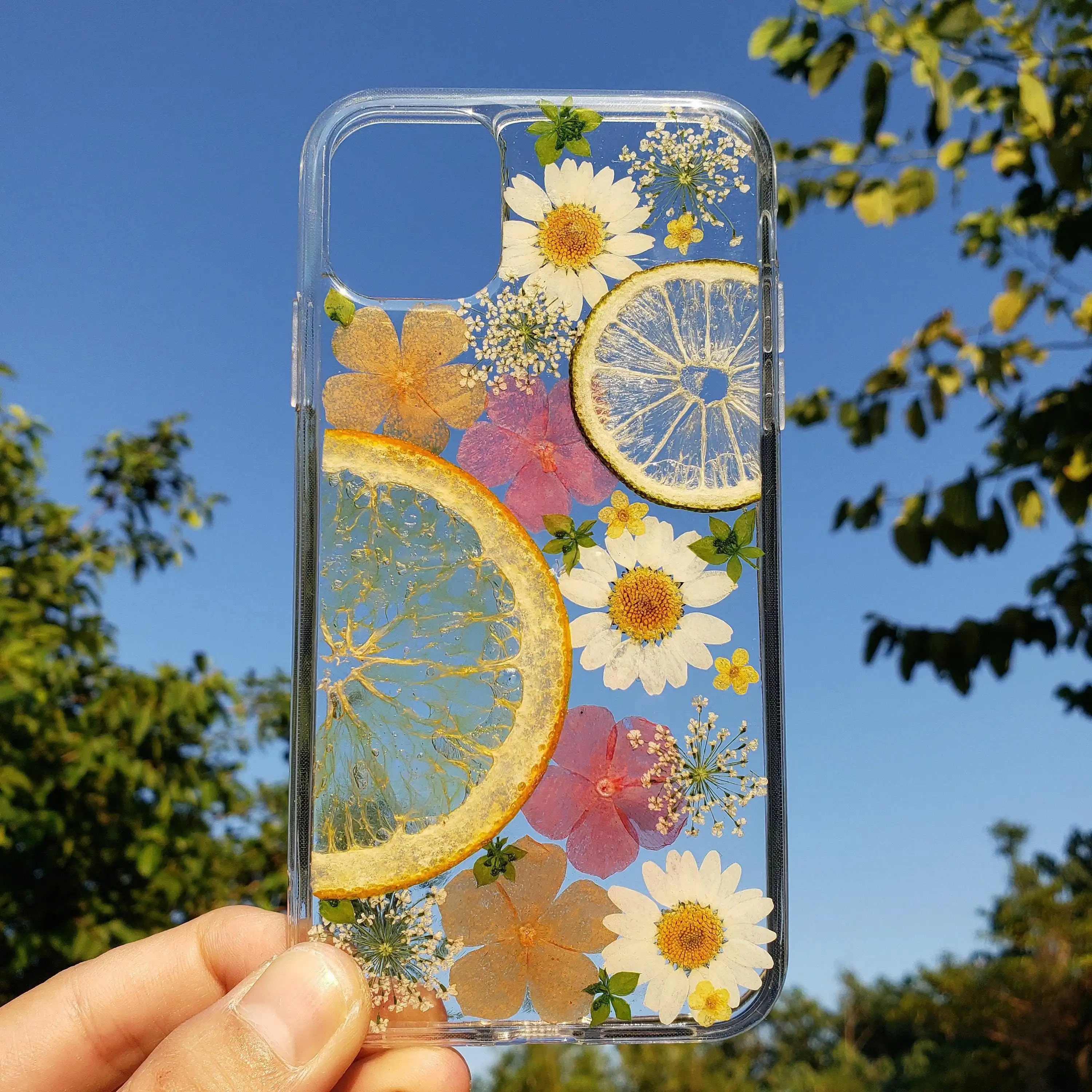 Hand-embossed mobile phone case, dried fruit suitable for iPhone 16 pro max 15 14 13 12 11 xr xs x 8 plus mobile phone case
Hand-embossed mobile phone case, dried fruit suitable for iPhone 16 pro max 15 14 13 12 11 xr xs x 8 plus mobile phone case