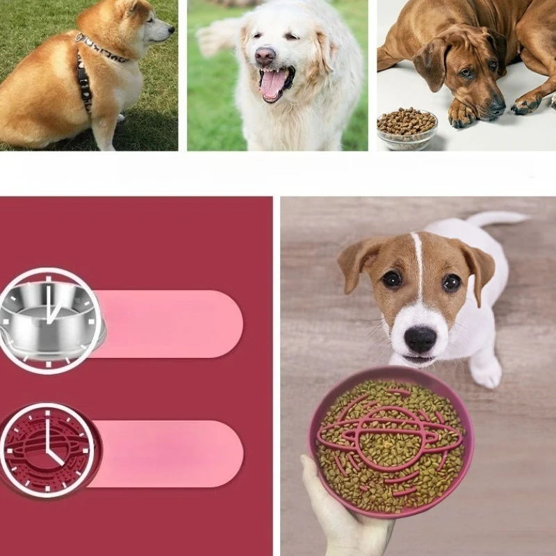 Slow Food Bowl Cat Slow Food Anti-choking Bowl Dog Automatic Feeders Dog Food Container Easy To Clean Puppy Cat Pet Supplies
Slow Food Bowl Cat Slow Food Anti-choking Bowl Dog Automatic Feeders Dog Food Container Easy To Clean Puppy Cat Pet Supplies