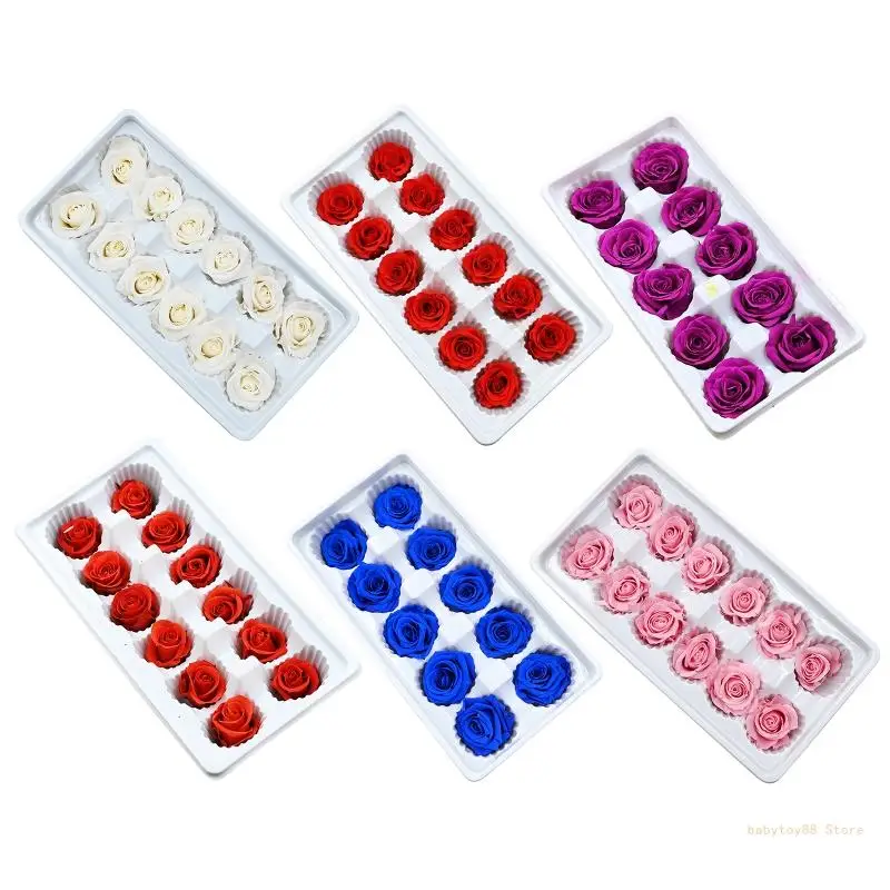 Y4UD 12pcs DIY Craft Making Kits Delicate Preserved Rose Dry Flower Resin Jewelry Making Wedding Supply Valentine Gift
Y4UD 12pcs DIY Craft Making Kits Delicate Preserved Rose Dry Flower Resin Jewelry Making Wedding Supply Valentine Gift